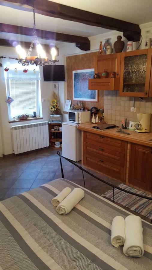 Apartman Ruza 3 Poljane Eksteriør bilde